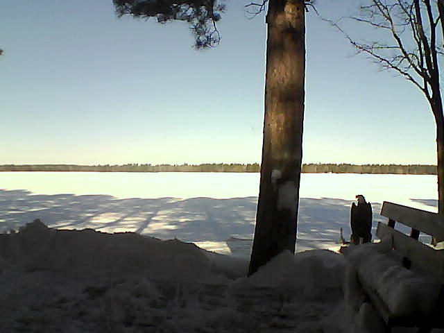 Whiteface Cam Image - Fri, 03/02/2018 9:24am 