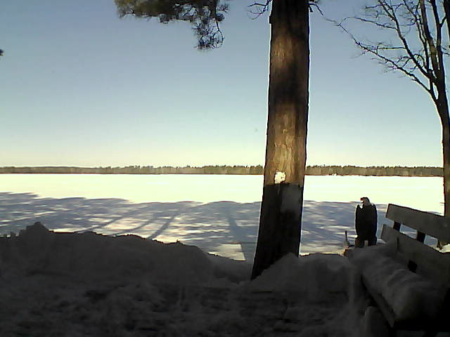 Whiteface Cam Image - Fri, 03/02/2018 9:34am 