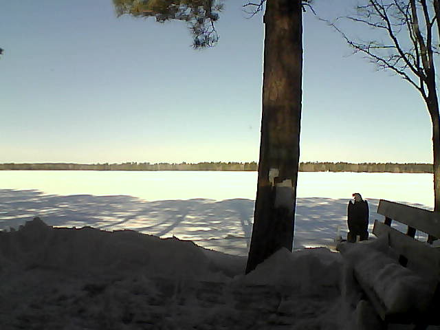 Whiteface Cam Image - Fri, 03/02/2018 9:44am 