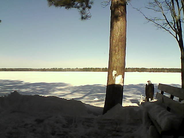 Whiteface Cam Image - Fri, 03/02/2018 10:04am 