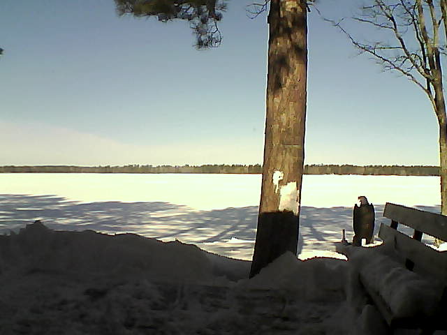 Whiteface Cam Image - Fri, 03/02/2018 10:14am 