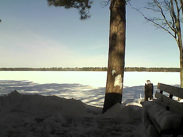 Whiteface Cam Image - Fri, 03/02/2018 10:34am 