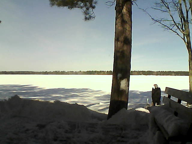 Whiteface Cam Image - Fri, 03/02/2018 10:44am 