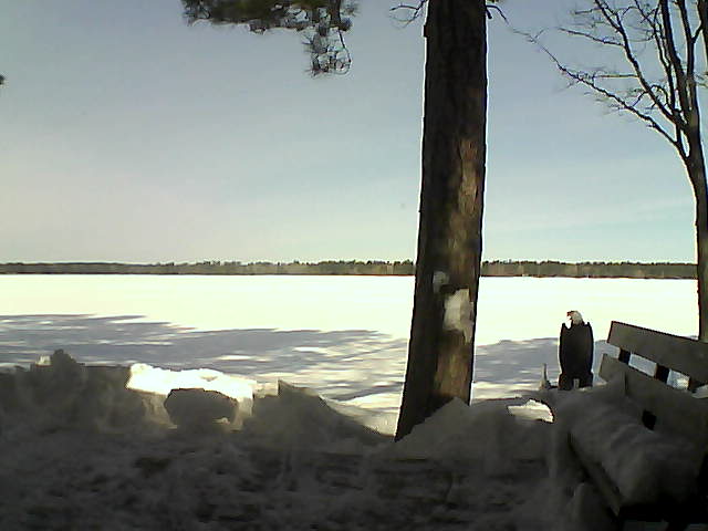 Whiteface Cam Image - Fri, 03/02/2018 11:04am 