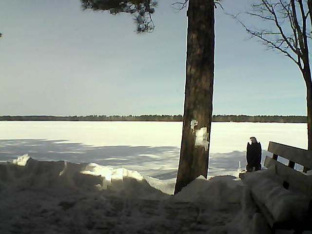 Whiteface Cam Image - Fri, 03/02/2018 11:14am 