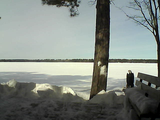 Whiteface Cam Image - Fri, 03/02/2018 11:24am 