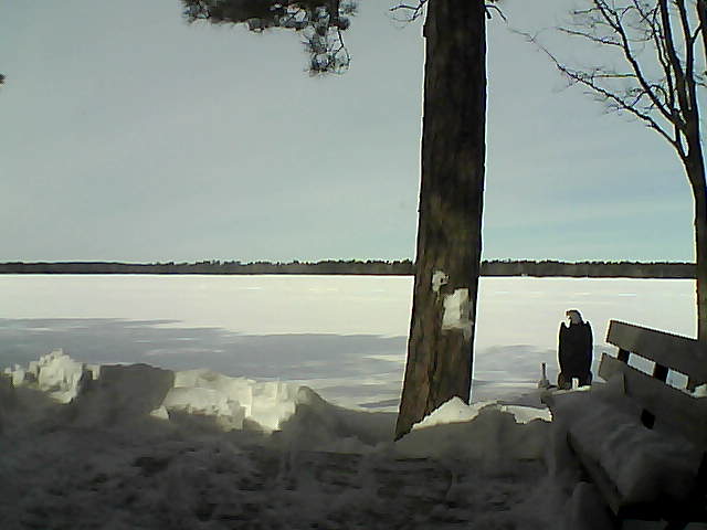 Whiteface Cam Image - Fri, 03/02/2018 11:34am 