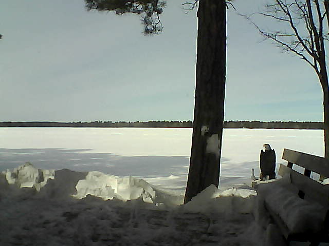 Whiteface Cam Image - Fri, 03/02/2018 11:44am 