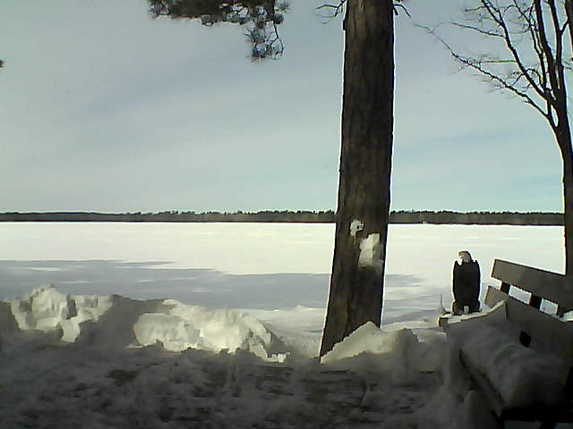 Whiteface Cam Image - Fri, 03/02/2018 11:54am 