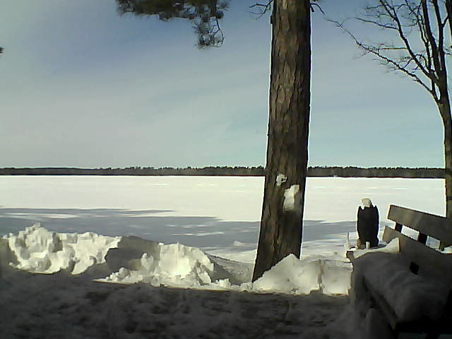 Whiteface Cam Image - Fri, 03/02/2018 12:24pm 