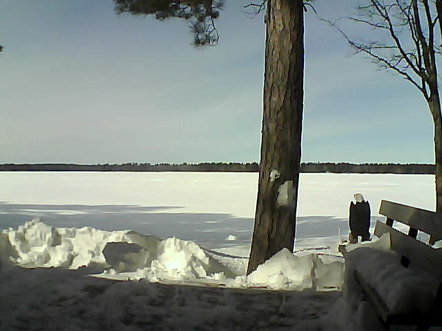 Whiteface Cam Image - Fri, 03/02/2018 12:34pm 