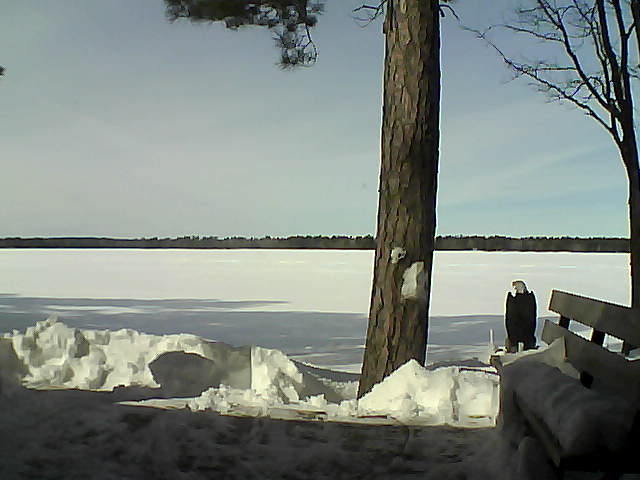 Whiteface Cam Image - Fri, 03/02/2018 12:44pm 