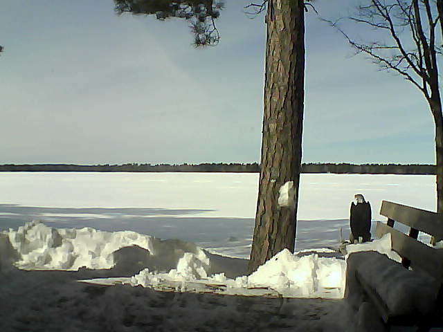 Whiteface Cam Image - Fri, 03/02/2018 12:54pm 