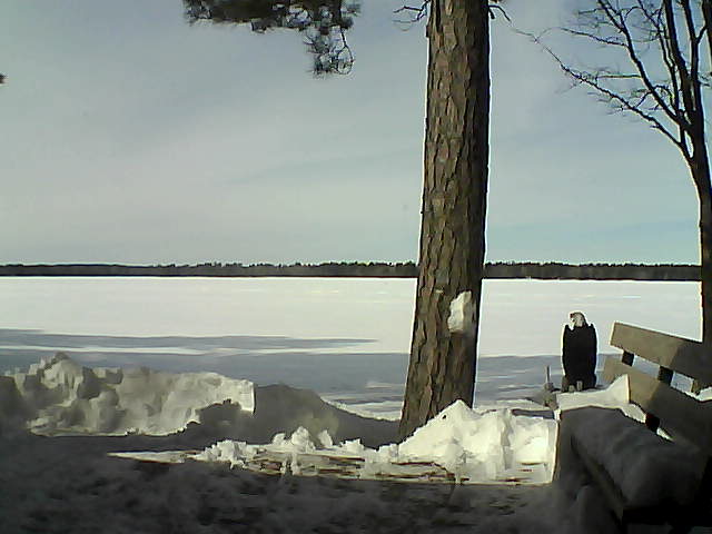 Whiteface Cam Image - Fri, 03/02/2018 1:04pm 