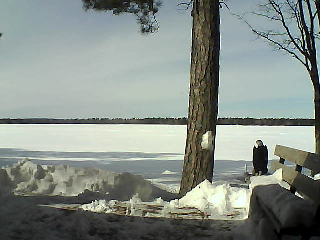 Whiteface Cam Image - Fri, 03/02/2018 1:15pm 