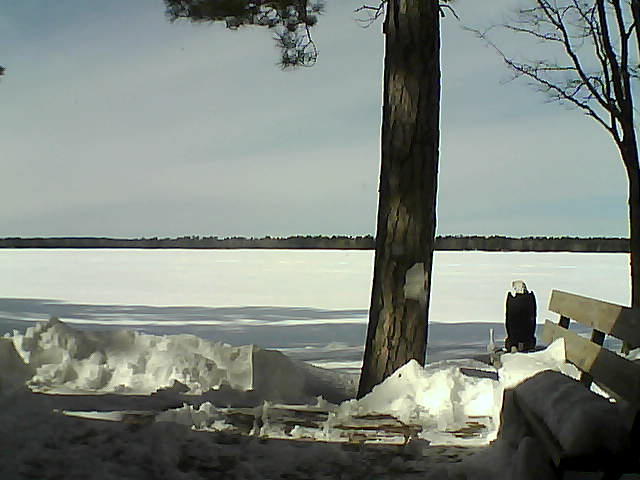 Whiteface Cam Image - Fri, 03/02/2018 1:24pm 