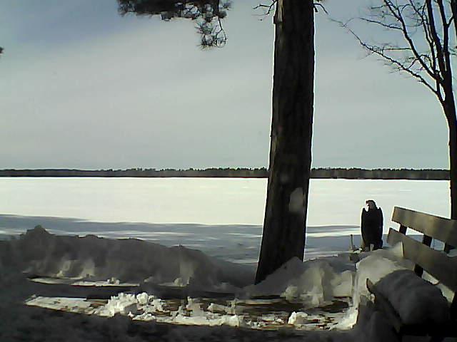 Whiteface Cam Image - Fri, 03/02/2018 1:55pm 