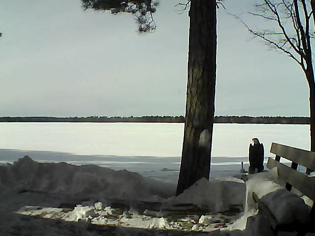 Whiteface Cam Image - Fri, 03/02/2018 2:05pm 