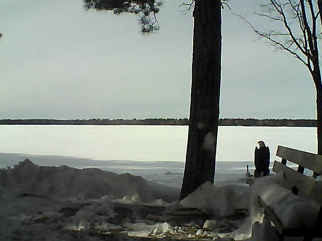 Whiteface Cam Image - Fri, 03/02/2018 2:14pm 