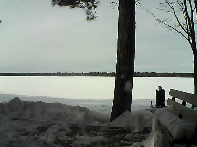 Whiteface Cam Image - Fri, 03/02/2018 2:24pm 