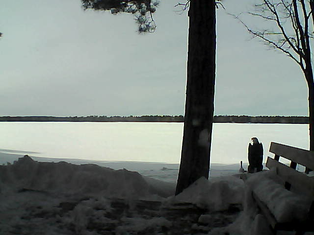 Whiteface Cam Image - Fri, 03/02/2018 2:55pm 