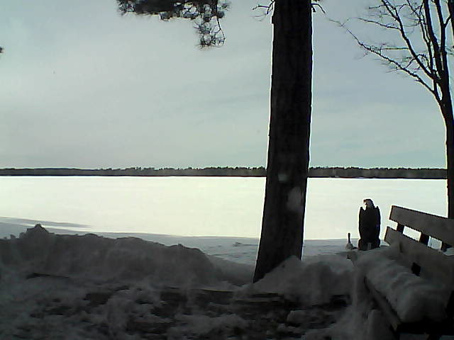 Whiteface Cam Image - Fri, 03/02/2018 3:05pm 