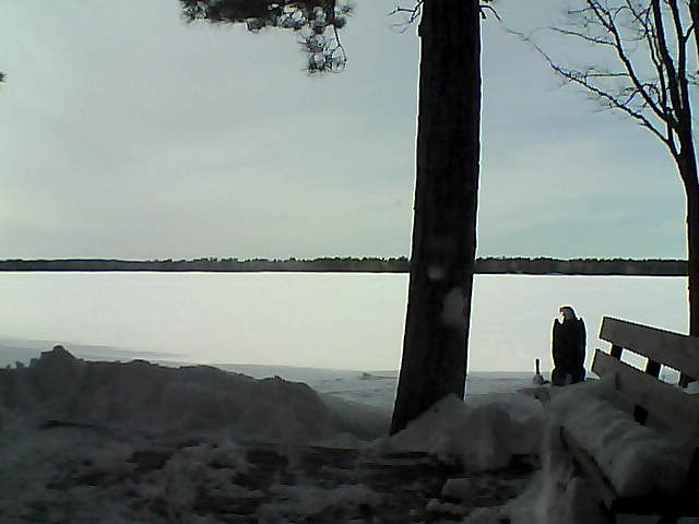 Whiteface Cam Image - Fri, 03/02/2018 3:15pm 