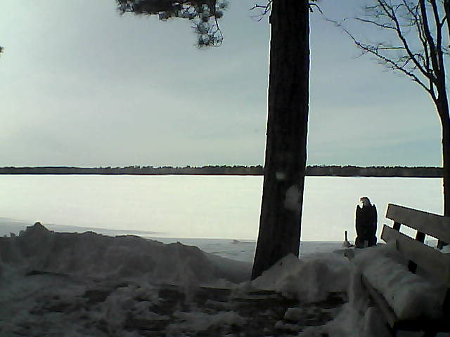 Whiteface Cam Image - Fri, 03/02/2018 3:25pm 