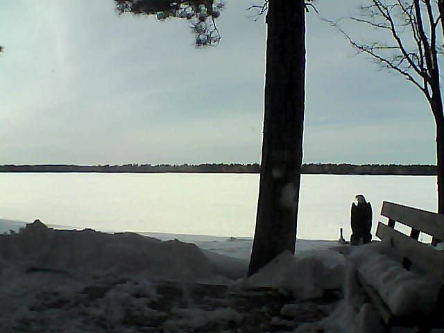 Whiteface Cam Image - Fri, 03/02/2018 3:45pm 