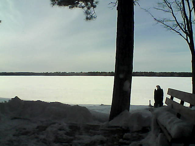 Whiteface Cam Image - Fri, 03/02/2018 3:55pm 