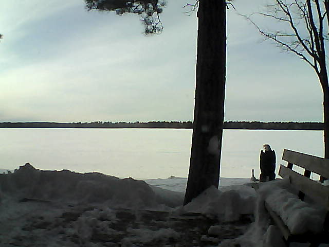 Whiteface Cam Image - Fri, 03/02/2018 4:15pm 