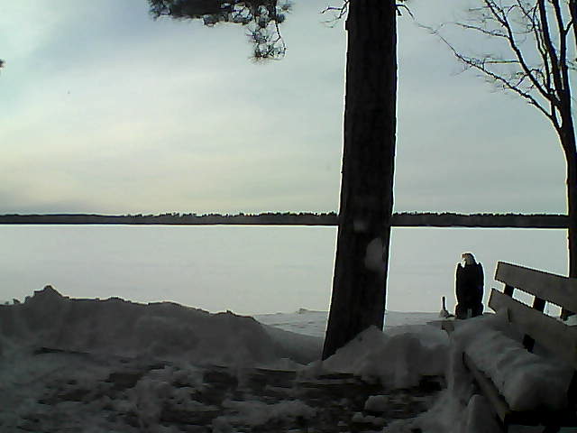 Whiteface Cam Image - Fri, 03/02/2018 4:25pm 