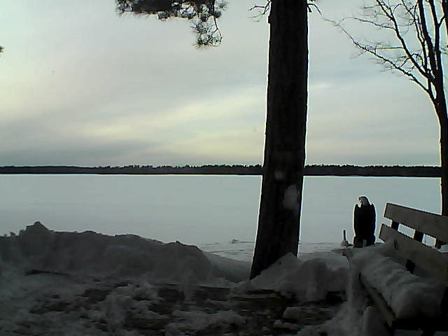 Whiteface Cam Image - Fri, 03/02/2018 4:55pm 