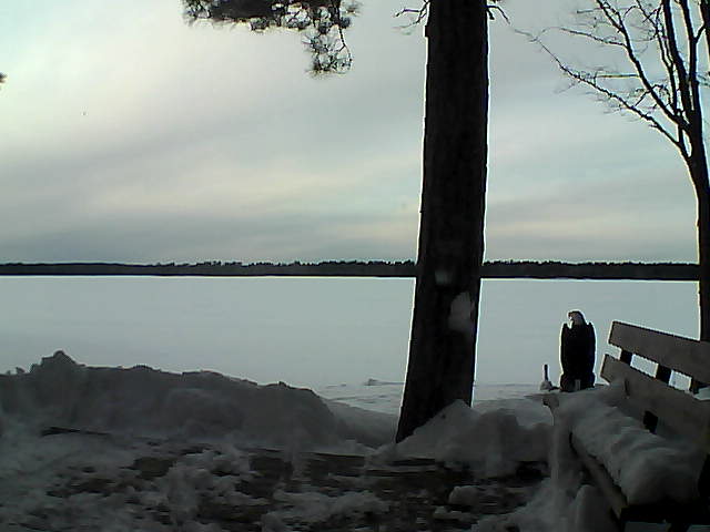 Whiteface Cam Image - Fri, 03/02/2018 5:05pm 