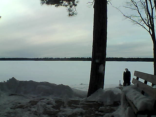 Whiteface Cam Image - Fri, 03/02/2018 5:15pm 