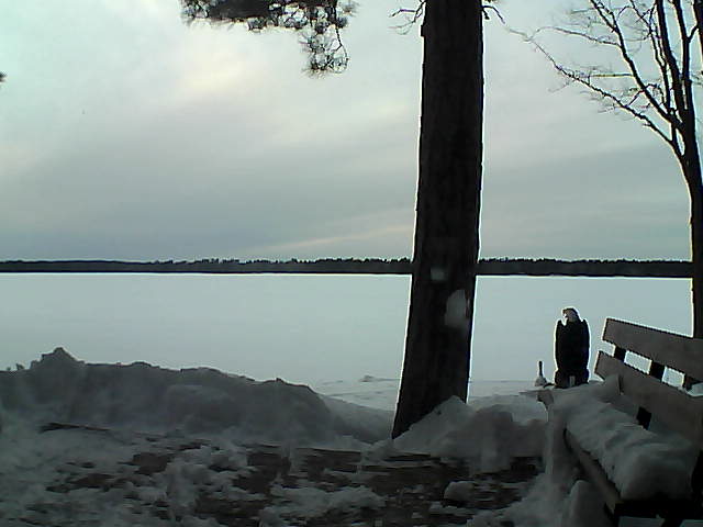 Whiteface Cam Image - Fri, 03/02/2018 5:35pm 