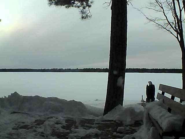 Whiteface Cam Image - Fri, 03/02/2018 5:45pm 