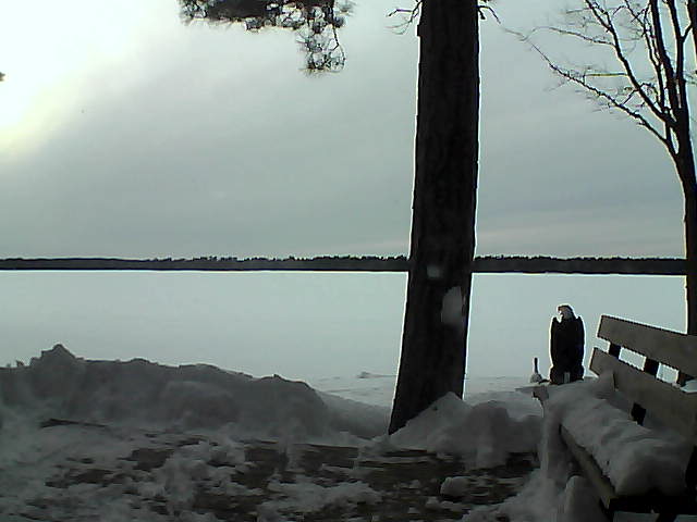 Whiteface Cam Image - Fri, 03/02/2018 5:55pm 