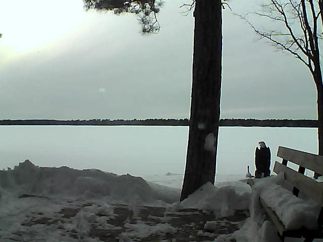 Whiteface Cam Image - Fri, 03/02/2018 6:05pm 