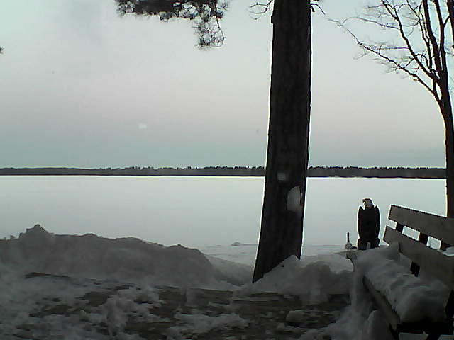 Whiteface Cam Image - Sat, 03/03/2018 6:35am 