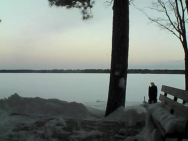 Whiteface Cam Image - Sat, 03/03/2018 6:45am 