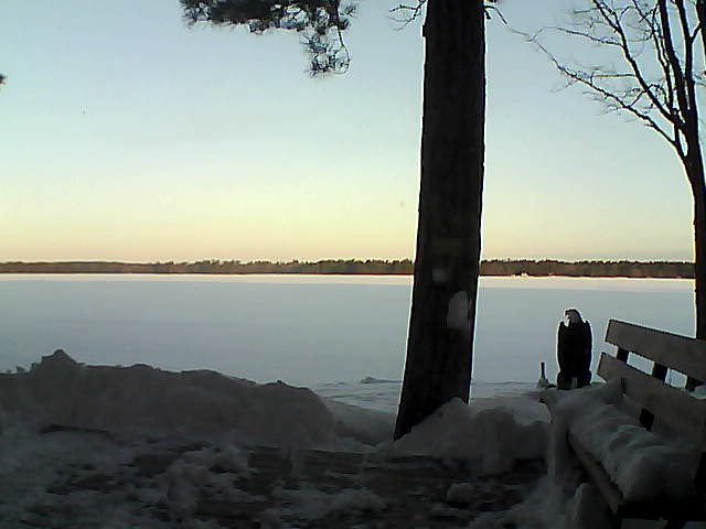 Whiteface Cam Image - Sat, 03/03/2018 7:15am 