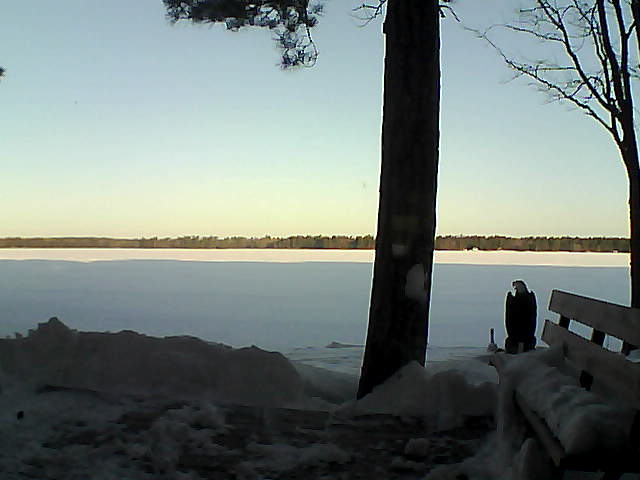 Whiteface Cam Image - Sat, 03/03/2018 7:35am 