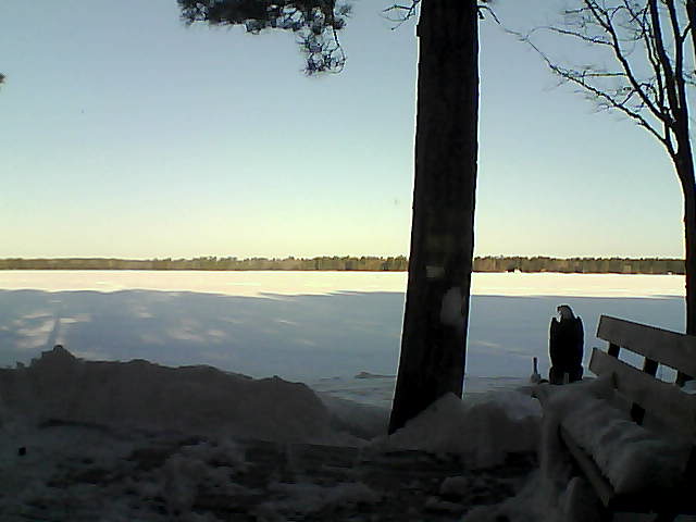 Whiteface Cam Image - Sat, 03/03/2018 8:05am 