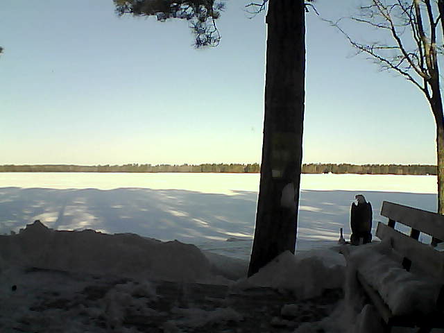 Whiteface Cam Image - Sat, 03/03/2018 8:25am 