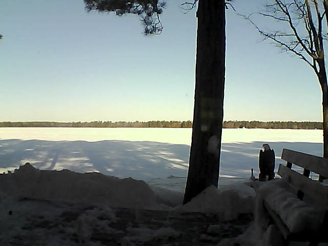 Whiteface Cam Image - Sat, 03/03/2018 8:35am 