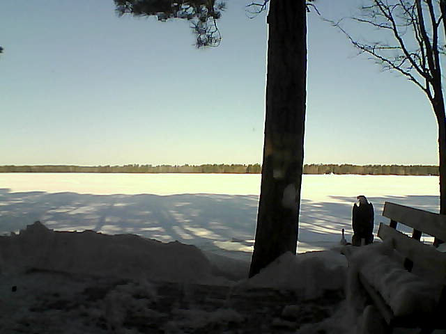 Whiteface Cam Image - Sat, 03/03/2018 8:55am 