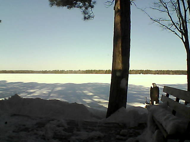 Whiteface Cam Image - Sat, 03/03/2018 9:05am 