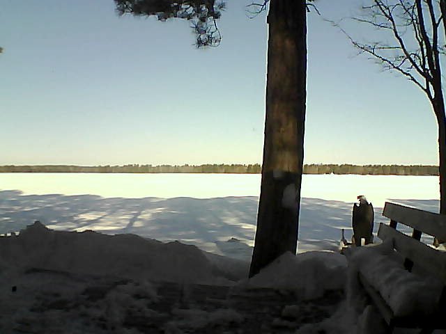 Whiteface Cam Image - Sat, 03/03/2018 9:15am 