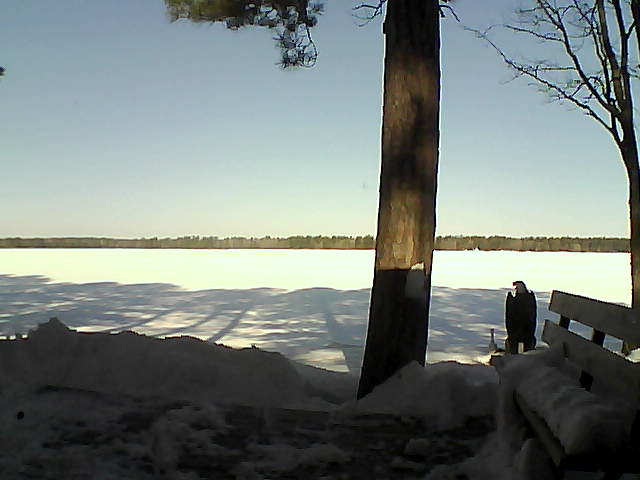 Whiteface Cam Image - Sat, 03/03/2018 9:35am 